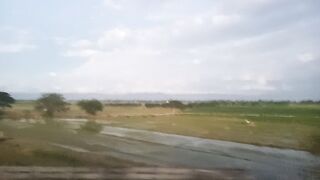 Vast Rice Lands along the Expressway