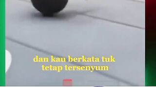 random funny behavior