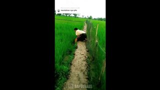 kelakuan warga konoha