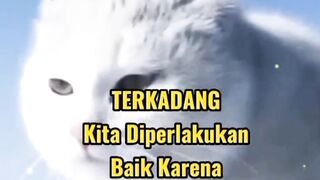 Motivasi hidup 16