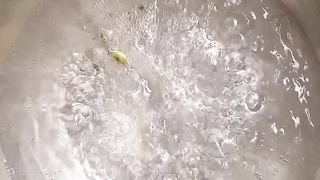 Easy Zarda Recipe.