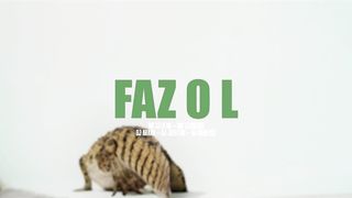 PARA COMEÇAR O FINAL DE SEMANA - FORTE FORTE DE LACOSTE - DJ Arana,Jeeh FDC,Menezes,LCKaiique,CeloBK