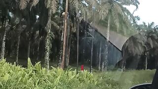 Sawit