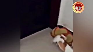 Best Fails of the Year (So Far) 2023 10