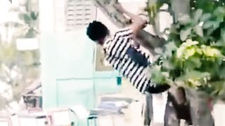 PRANK DOG FUNNY - PRANKLO
