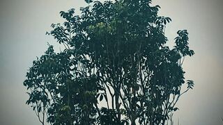 Makna nya dalam banget. Sampai menyentuh hati