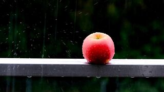 Rain Sounds For Relaxation and Sleeping, Thunder Sound At Night Most Liked This Week.