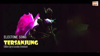 ELECTONE SONG - TERSANJUNG