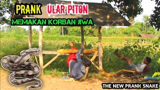 PRANK SNAKE FUNNY