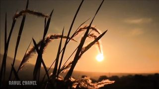 Music_Anywhare DJ slow remix