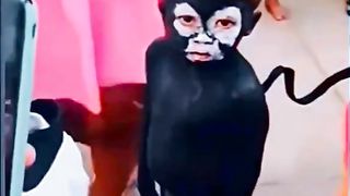 Random funny video ????