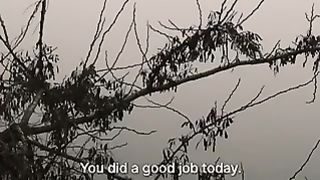 Motivation 288