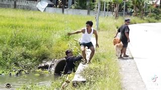 Funny videos 253