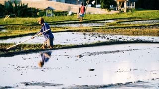 The Farmer