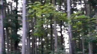 Beautiful nature 44