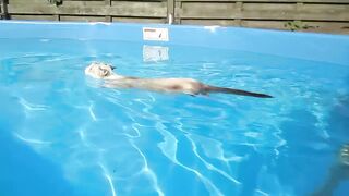 WOW this CAT is swimming like a pro