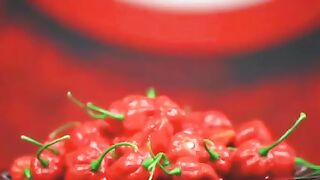 The hottest and most expensive chili in the world