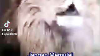 Kata kata  kehidupan