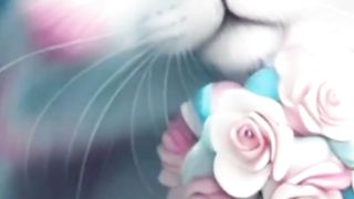 Kucing cantik