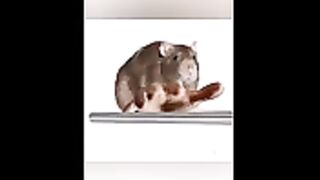 Funny TikTok that make my Monday better 3