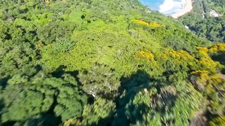 Ubatuba 2