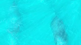Baleia Jubarte em Ilhabela