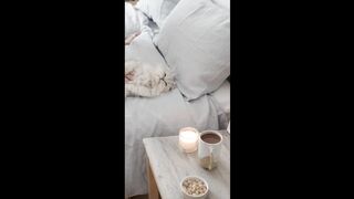 Cute Cat 8