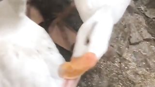 Funny videos ???????? 10