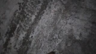 The cat blocks the way