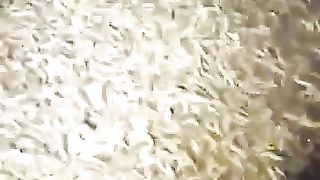 ikan lele