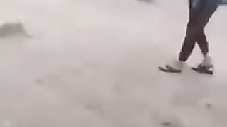 Funny videos febspot