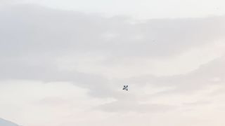 Kite Fighter Form Indonesia