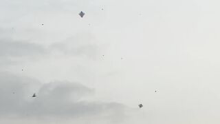 Kite Fighter Indonesia