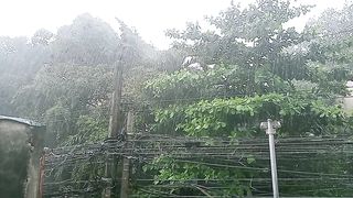 Monsoon Rains