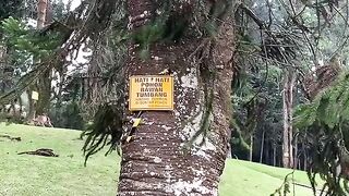 The most beautiful day?