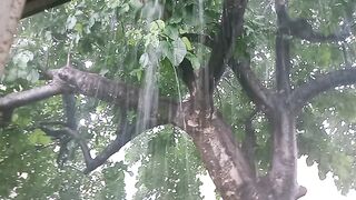 Monsoon Rains in the Afternoon