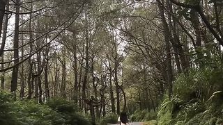 Ada Hutan Pinus di Kintamani ternyata