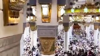 Naatsharief, Naat, 4