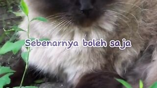 Awas Bahaya