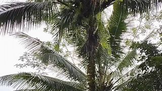 Atasi Asam lambung atau maagh secara alami cepat