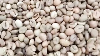 Example of greenbean coffee before roasting