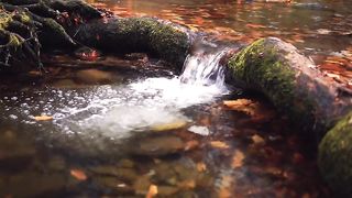 Beautiful river videos