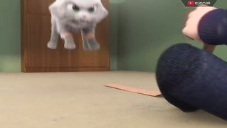ejen ali misi comot