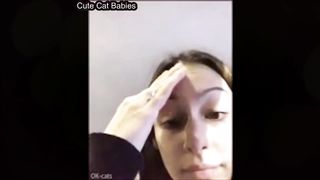 Funny cats and dogs animals videos compilation 2023 - part 43