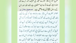اسلامی معلومات 21