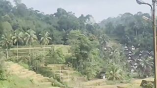 Pekan Pengabdian Masyarakat
