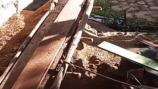 Si gemoy sedang berjemur