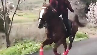 AAP KA PIYAR HORSE RIDING KAR RAHA HAY.