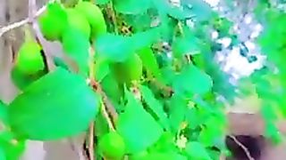 Songs 48