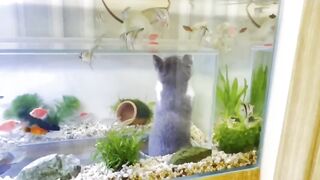 Oh yes let’s stress out the fish